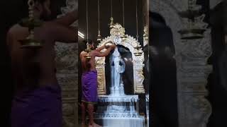 Download lagu Om Muruga 🕉 #muruga #murugantemple #murugansong #murugan #muruganthunai #devotionalsong #hindusong mp3