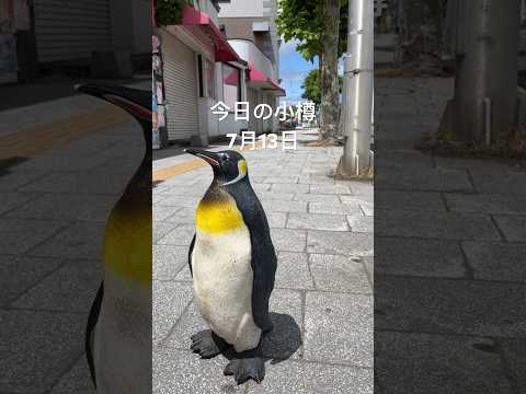 ¡Un día refrescante a 24 grados! La calle Sakaimachi estaba llena desde la mañana 😊 No puedo soportar el erizo de mar, el helado suave y los dulces 😆 #Otaru