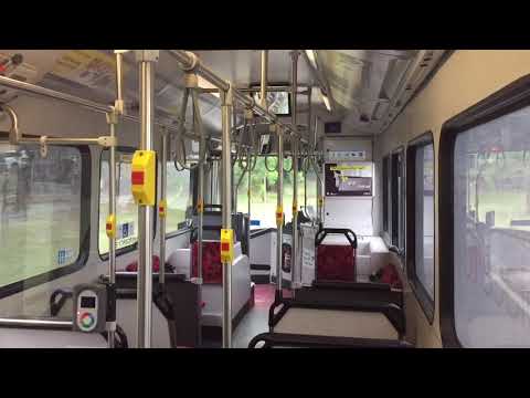 STA Sydney m/o 4869 - Mercedes-Benz O500LE CNG (ZF)