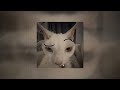 White Tee Rizz Song Slowed