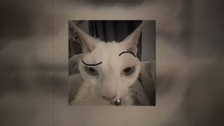 Download lagu White Tee - [Rizz song] (slowed) mp3