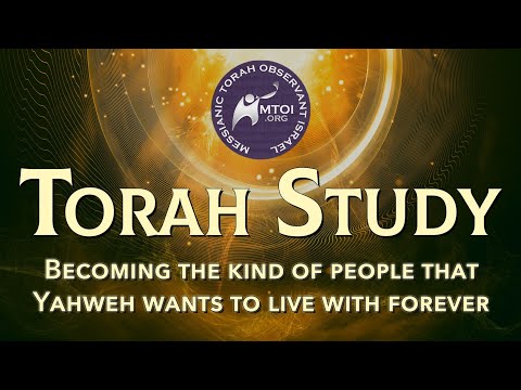Ki Tisa | Exodus 30:11 - 34:35 | MTOI Torah Study