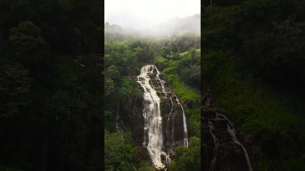 YouTube Short thumbnail