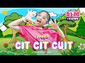 CIT CIT CUIT FREYA BENETTA Lagu Anak Cit Cit Cuit OFFICIAL MUSIC VIDEO Laguanakindonesia