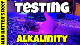 Testing Alkalinity in Our Coral Frag Tanks