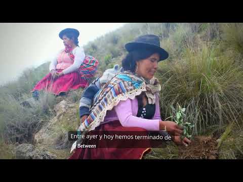 Warmi Kewinas: Women Restoring Bolivia's Forests