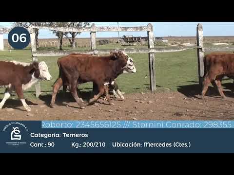 Lote Tr Machos - Mercedes Ctes