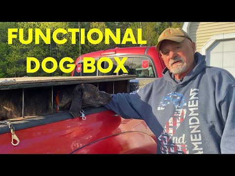 Functional Dog Box for Hound Hunting