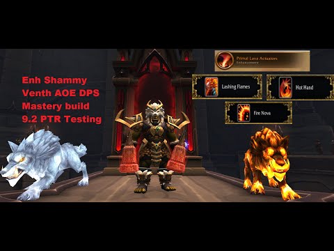 9.2 PTR testing Venth Enh Shammy.