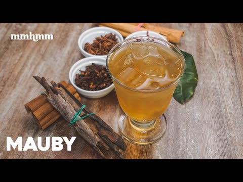 How To Make Mauby from Mauby Bark.