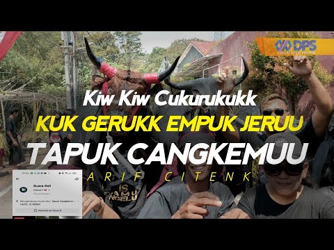 TAPUK CANGKEMU X MELODY VIRALL PARADISE KUKK GERUKK EMPUK JERUU KUK TERBARU 2023