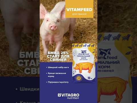 БМВД 25% Стартовый Свиньи, мешок 10кг - фото 1 - id-p2589858809