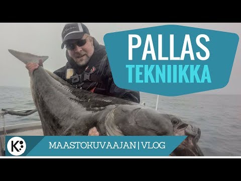 Mullistava tekniikka ruijanpallakselle - uutta tietoa jakoon 💪