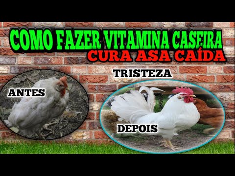 , title : 'COMO fazer *VITAMINA caseira*PARA curar ASA CAÍDA e Fraqueza em GALINHA'