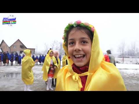 jurnal 29 11 2018 poiana lacului centenar   harta copii   ela ionascu