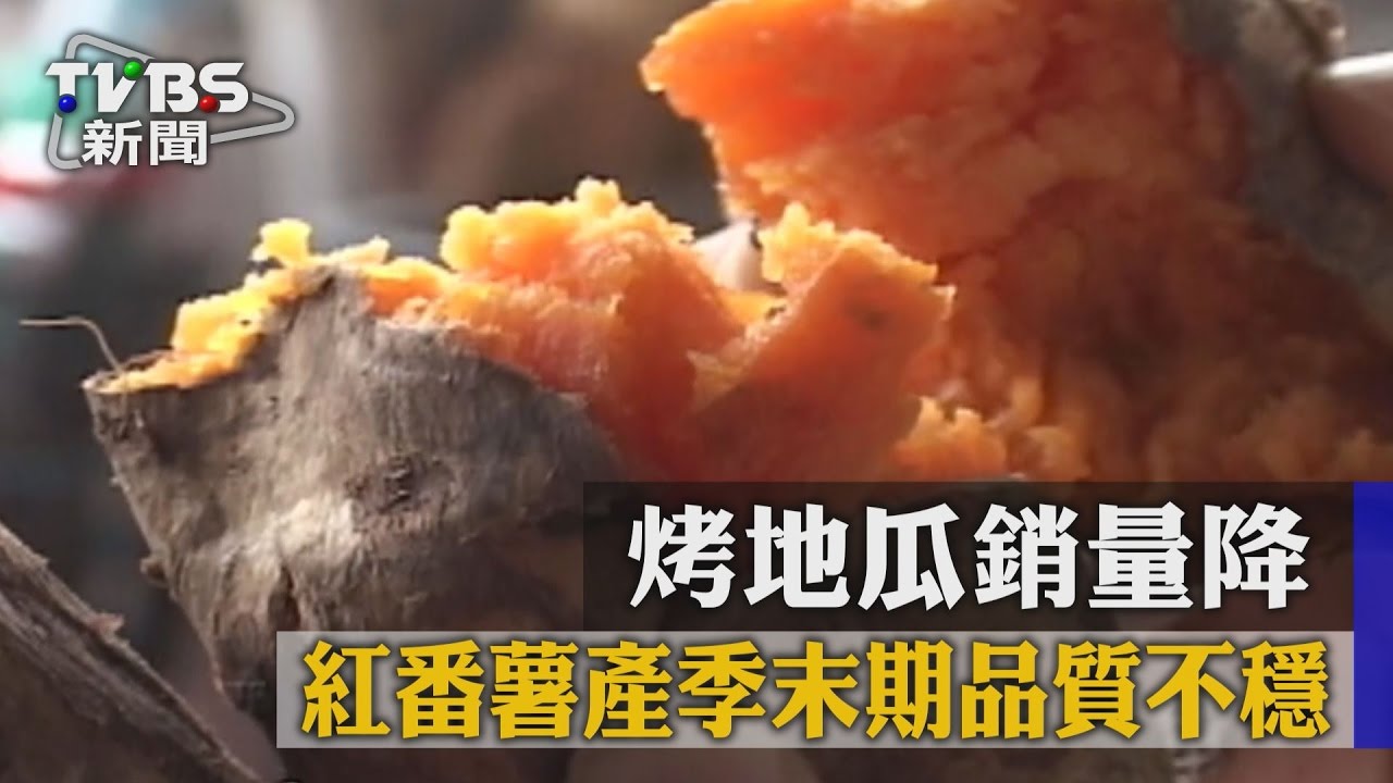 烤地瓜銷量降 紅番薯產季末期品質不穩