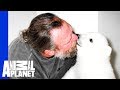 Polar Bear Purrs When Cuddling With Her Human Dad