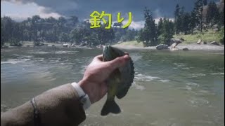 プレイ21【RDR2】ガキと釣りをする（人間をとる漁師）【レッドデットリデンプション2】実況