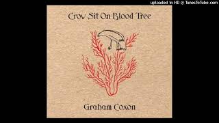 02. I'm Goin' Away - Graham Coxon - Crow Sit On Blood Tree