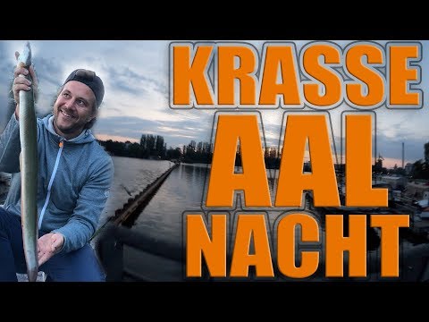 Nachtangeln auf Aal! Erfolgreich Aalangeln mit Pose und Grundmontage!