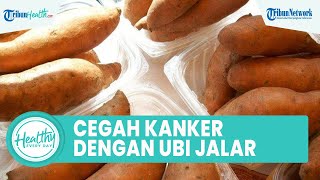 Cara Alami Mencegah Risiko Kanker dengan Konsumsi Ubi Jalar, Begini Penjelasannya
