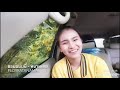 ชอบแบบนี้ หนามเตย สะแบงบิน Cover By PloyRatanamai