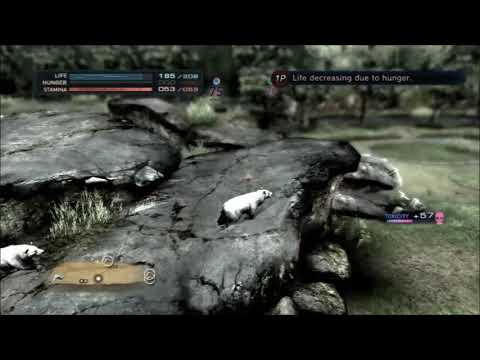 Tokyo Jungle Survival - Polar Bear (highlights)