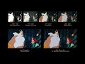 The Little Mermaid Triton Yells At Ariel 30 Years Of Video Editions Comparison