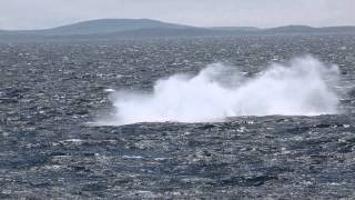 Expedition Russlands Ferner Osten mit Silversea Expedition Russlands Ferner Osten mit Silversea
