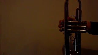 #27: In een groen groen - trumpet
