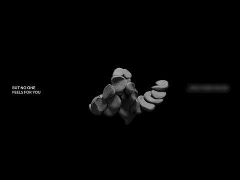 Video thumbnail for LETTER FROM A BLACKBIRD