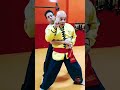 How To Train Like A Kung Fu Master