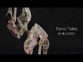 Barse Naina Visualiser Rumii Chayan Electronica Indiepop Dnb