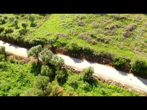 Alcobertas 2016 VI corrida Carrinhos de Rolamentos/Trikebikes