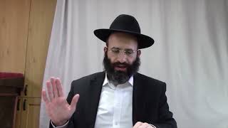 יתרון הבהמה על האדם