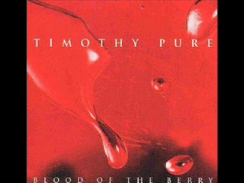 Timothy Pure - The Interim