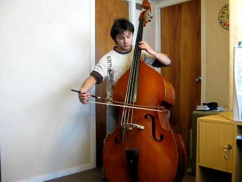 Andante Domenico Dragonetti, Daniel Bertin