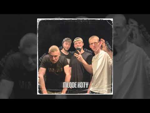 gutek x Ściański x Kohu x COJEST - Młode Koty