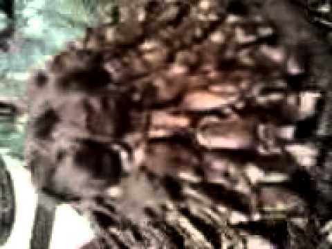 Snickers Cake from Mitzi's Bakery Paradise