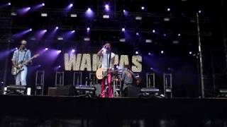 Wampas - Musilac 2009