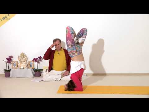 Kopfstand Zyklus - Yoga Asana Lexikon