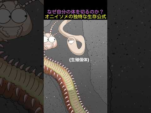なぜ自分の体を切るのか？オニイソメの独特な生存公式