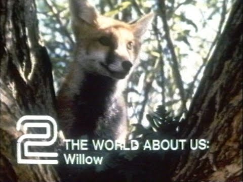 Sunday 15th February 1981 BBC2 - World About Us - British Movie Night - News On 2