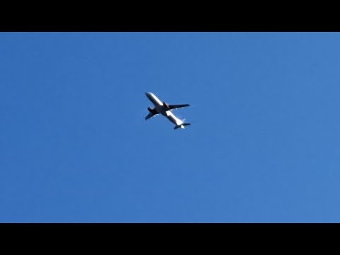 EXTREMELY loud FOPP-howl - SAS Airbus A320-232 (OY-KAN)