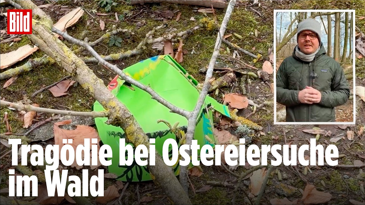 Oster-Drama bei Flensburg: Entwurzelter Baum tötet Mutter, Baby und Teenager