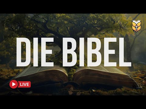 Gottes Wort für jeden Tag – Bibellesung Live 24/7 🔴 BibleVision Live 24/7