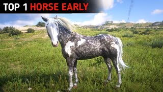 Proper Way To Get The Best & Fastest Missouri Fox Trotter Horse Early - RDR2