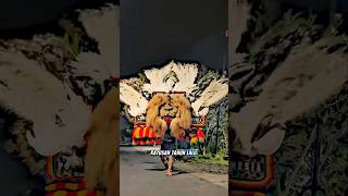 Download lagu The Living White Reog Mask🥶🔥 #reog #jaranan #jathilan mp3