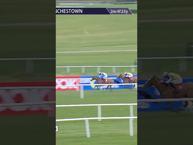 Thumbnail for Post ID: eiKGizPzd8k