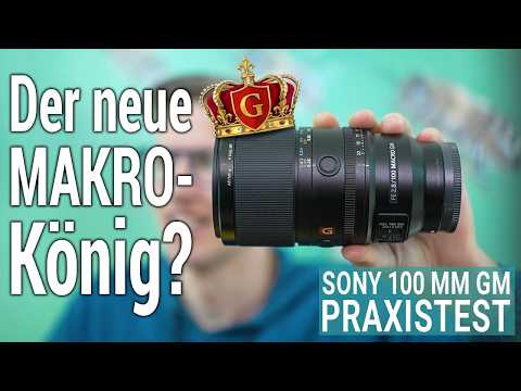 Sony FE 100 mm Macro GM in a comprehensive practical test (macro photography, 4K)